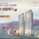 산호동312 이미지