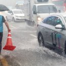 [뉴스보도] 우리가 알던 장마 아니다…갑자기 폭우 &#39;도깨비 장마&#39; 온다 이미지