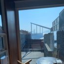 온실속베니 이미지