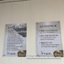 테크노가야밀면