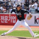 화이트엔 일간스포츠