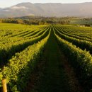 박태구 행정사 사무소 이미지