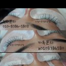 아롱별속눈썹
