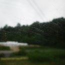 덕심약국 이미지