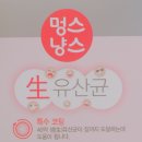 냥스 이미지