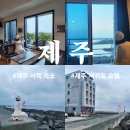 선반내주유소 | 제주도 가성비 숙소 오션뷰 제주 서귀포 호텔 추천