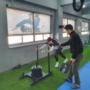 팀아트GYM