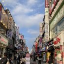 카츠가 | 수원역 식당 냉소바와 돈카츠 등심카츠가 맛있는 백소정 상세후기