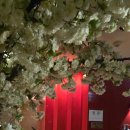 모텔누누 이미지