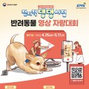 보라매동물병원 이미지