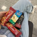 꽃돼지랑생오리 | 제주 여행 / 봄 그리고 제주 🌼