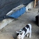 은행리낚시터 이미지