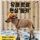 동키