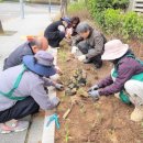 정원의 조성과 관리 이미지