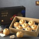 제주시농협하나로마트노형점 네이버블로그