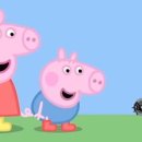 애니피그 이미지