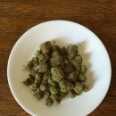 제이더블유중외제약(주) 이미지