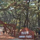 암남공원로 | 부산송도케이블카 암남공원에서 현장 발권 할인, 온라인 예매 왕복 가격 후기