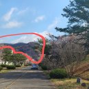 청송교도소 접견 후 산불피해지역 탐방 이미지