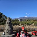 토평공단로 | 서귀포카트 체험 서바이벌에 동백꽃까지 무조건 윈드카트1947테마파크