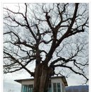 광의면사무소 이미지