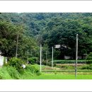 고향의 여름 이미지