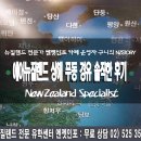 에어뉴질랜드 상하이 푸동 경유 # 중국 입국신고서