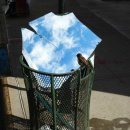 작은하늘 이미지