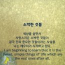 소망을 위한 협주곡 이미지