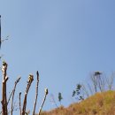 무진장농원 이미지