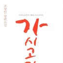 읽으면 오열한다는 그 책 &lt; 가시고기 &gt; 눈물 나게 하는 책, 슬픈 책 추천.