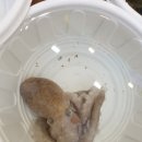 어사출또 하남시청점 이미지