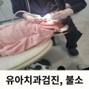 감일포레치과의원 | 아이와 치과 가서 불소하기 / 유아 불소 비용 / 감일 포레 치과