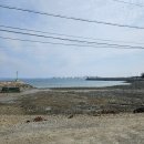 바닷가 포장마차 | 당진 갯벌포장마차 솔직 후기｜산낙지와 시금치 해물 칼국수