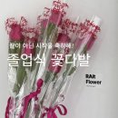 서울숭인초등학교 | 성북구 월곡 숭인초등학교 근처 꽃 작업실 [정릉초등학교 졸업식 꽃다발]