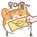 경인교대부설초등학교 이미지