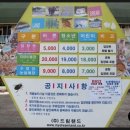 더하루야영장 이미지