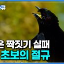 화