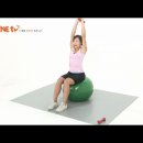 볼 오버헤드 트라이셉스 익스텐션 (Ball Overhead Triceps Extension) 이미지