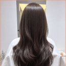 스타미용실 네이버블로그