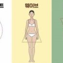 나에게 어울리는 스타일은?(체형진단) 이미지