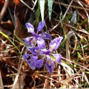 주홍목장 이미지