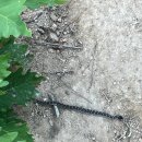 고성동부농업협동조합 | 고성 운봉산, 속초 청대산 정상까지 30분 최단코스, 1일2산