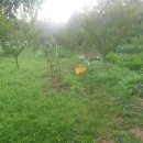 양정농장 이미지