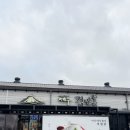 김밥여행 | 제주 김만복 김밥 🍙 + 서귀포 귤따기 체험 🍊 가족여행 후기 (시즌 종료)