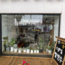 중화동-107 | 중화동 카페 카페돌 허니브레드 팥빙수 후기