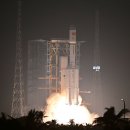 신화8호 이미지