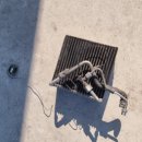 당진카에어컨전문점 이미지