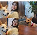 상인평광 | 25년의 시작 1월