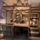 하원 | 당산 키즈카페 방방박사 평일 하원 후 내돈내산 후기